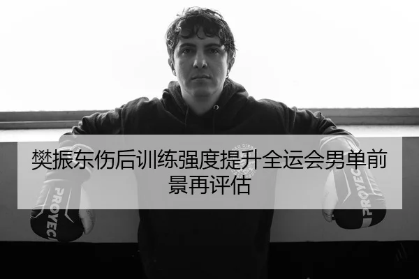 樊振东伤后训练强度提升全运会男单前景再评估
